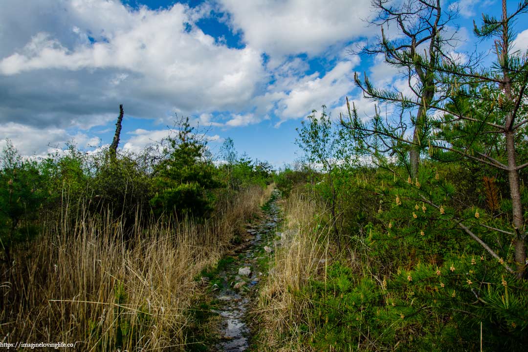 appalachian trail